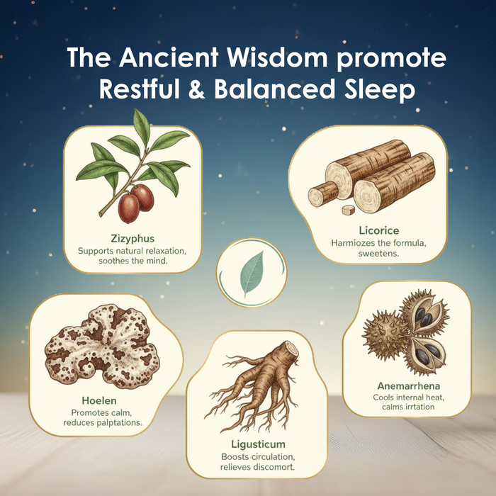 NuWonder Sleep Harmony - Support Restful and Balanced Sleep